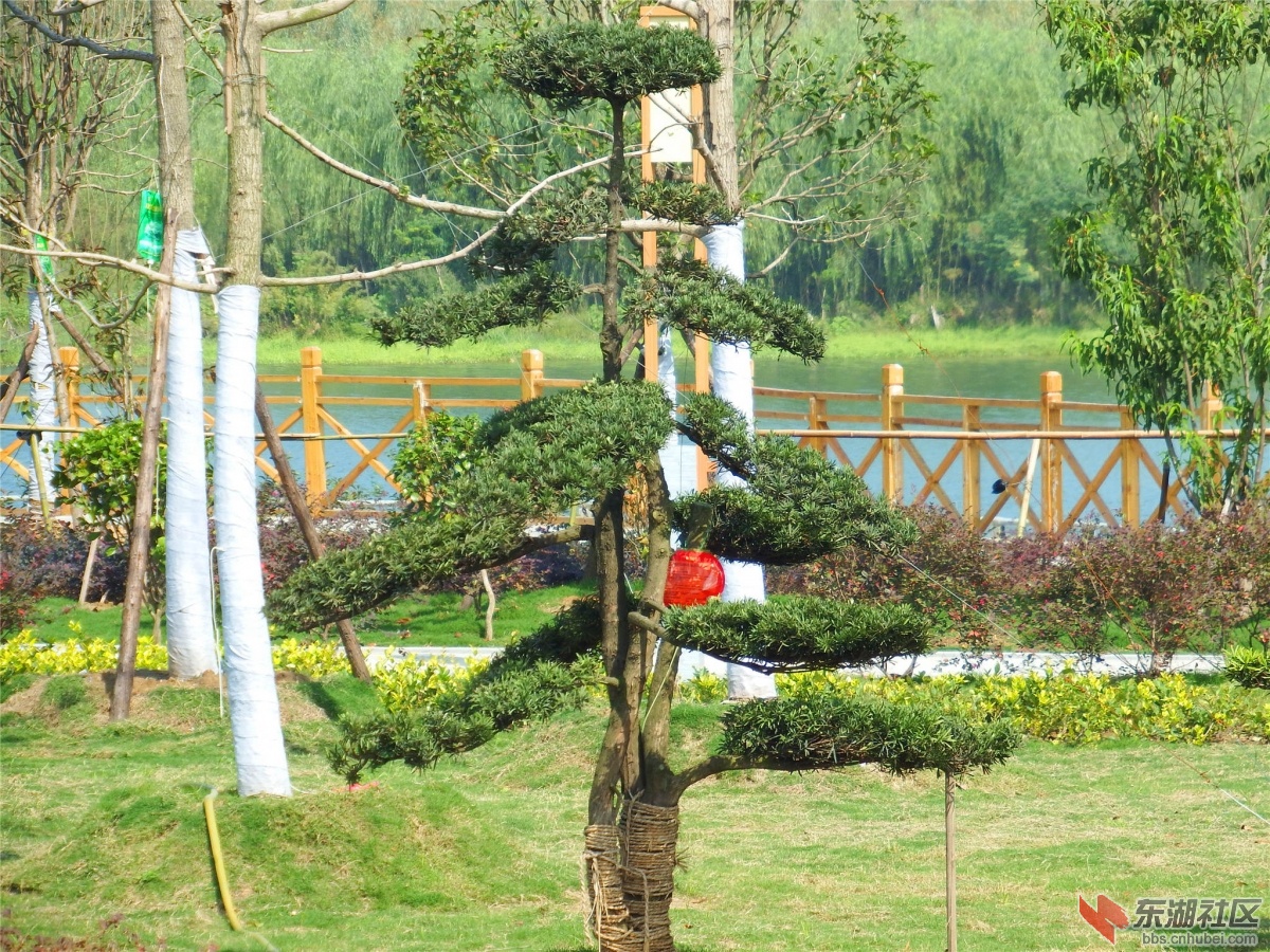 DSCF9600_副本.jpg