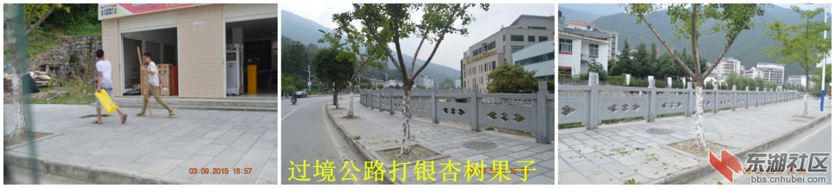 两个小孩在过境公路打白果
