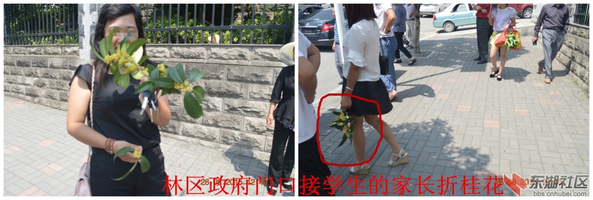 折挂花的行人