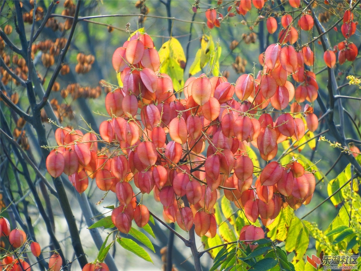 DSCF1239_副本.jpg