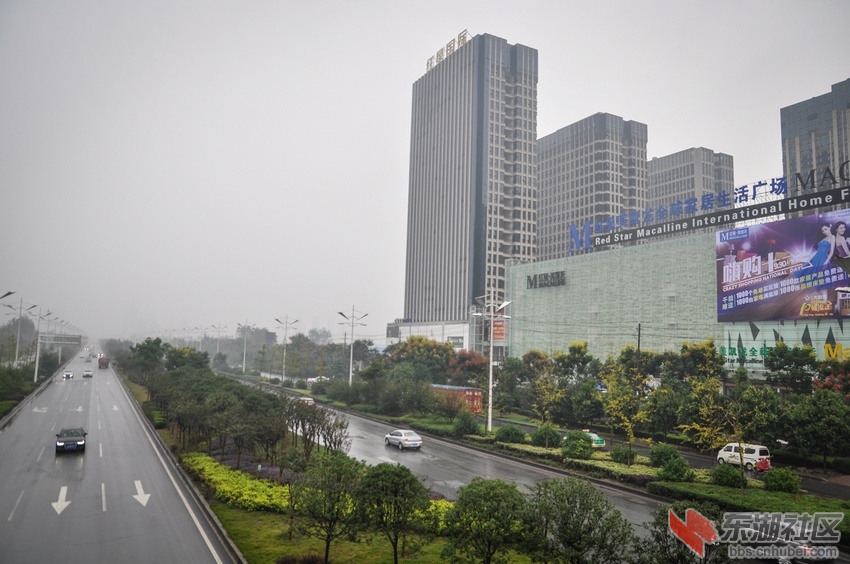nEO_IMG_DSC_8204.jpg
