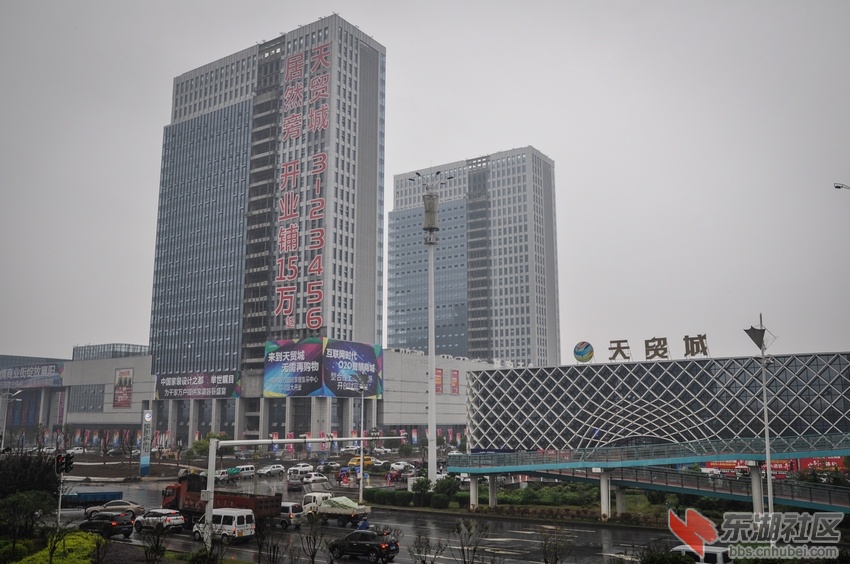 nEO_IMG_DSC_8230.jpg
