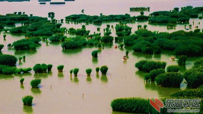 4沙湖.jpg