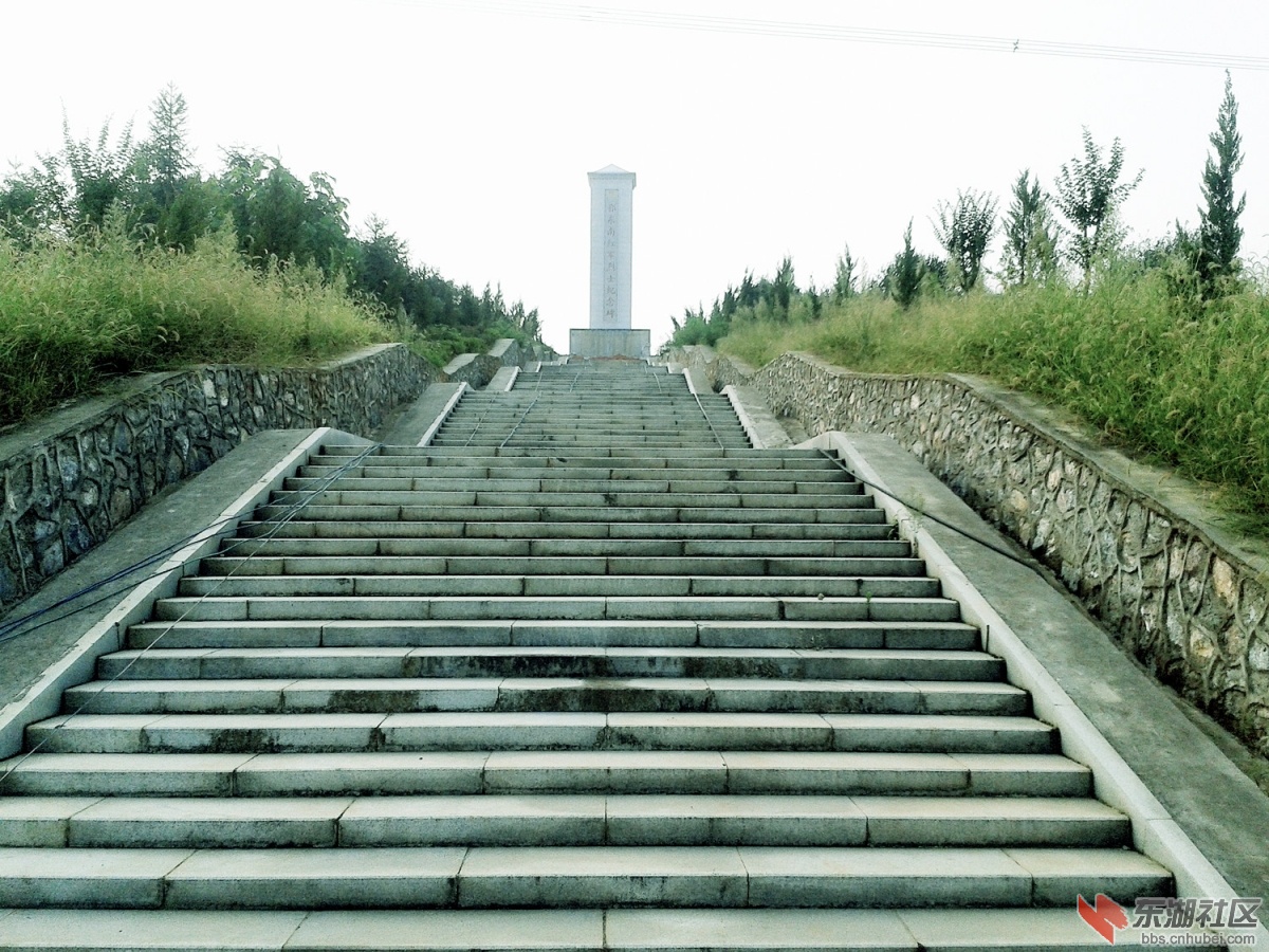红军烈士墓林景区2.jpg