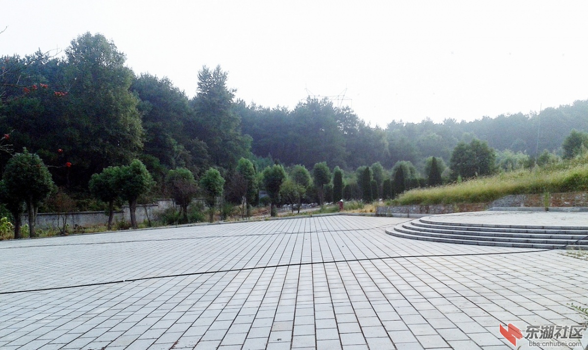 红军烈士墓林景区3.jpg