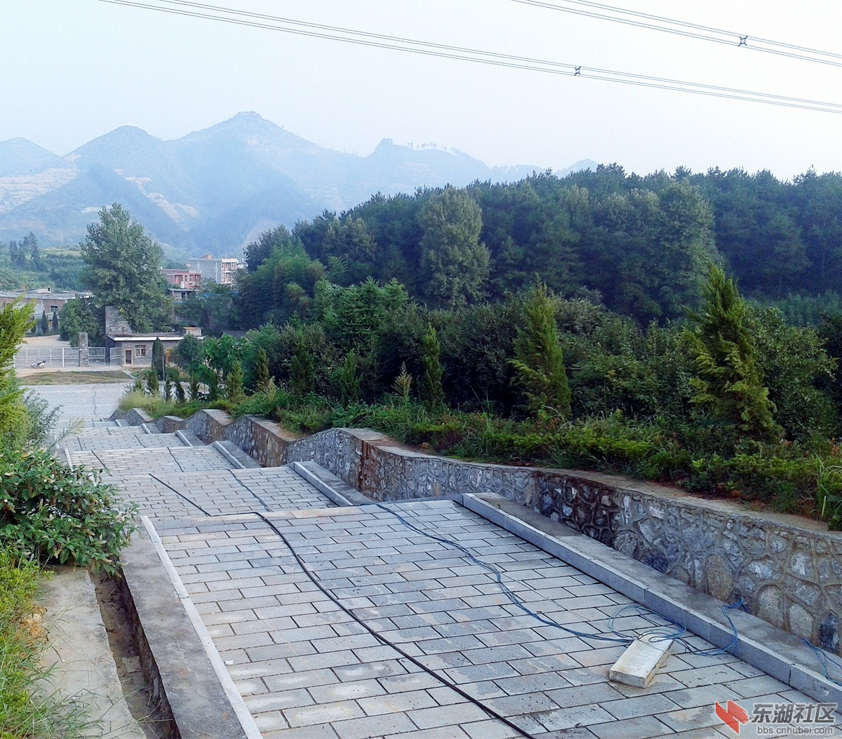 红军烈士墓林景区5.jpg