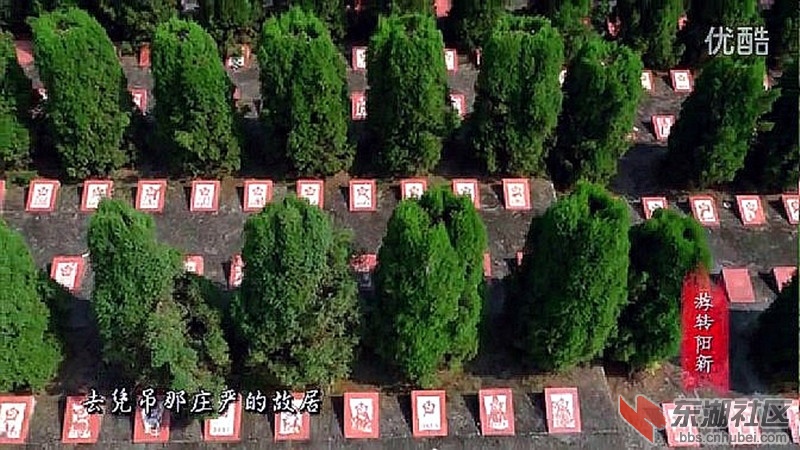 龙港烈士墓林.jpg