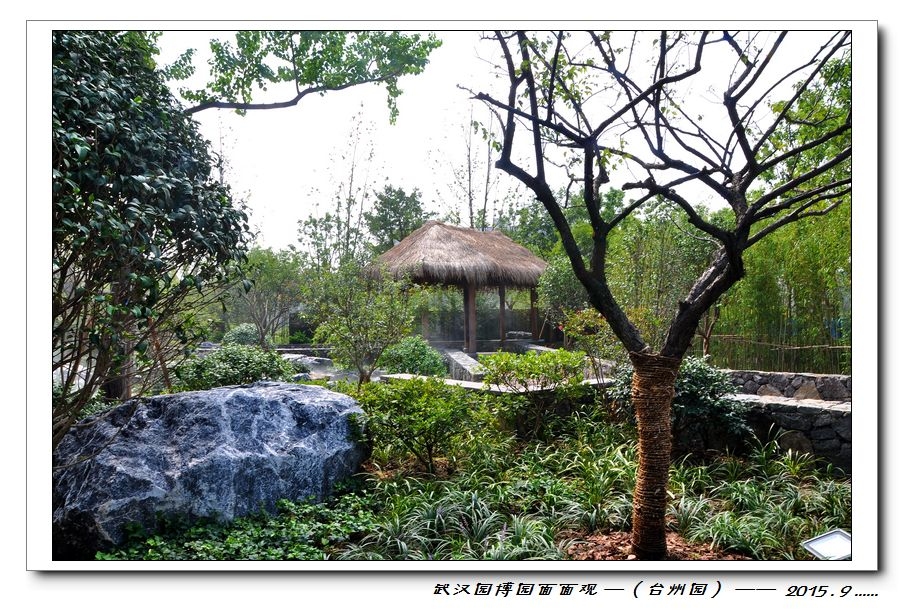 nEO_IMG_DSC_0507.jpg