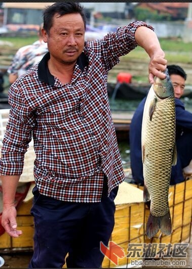 QQ图片20150927200439.jpg