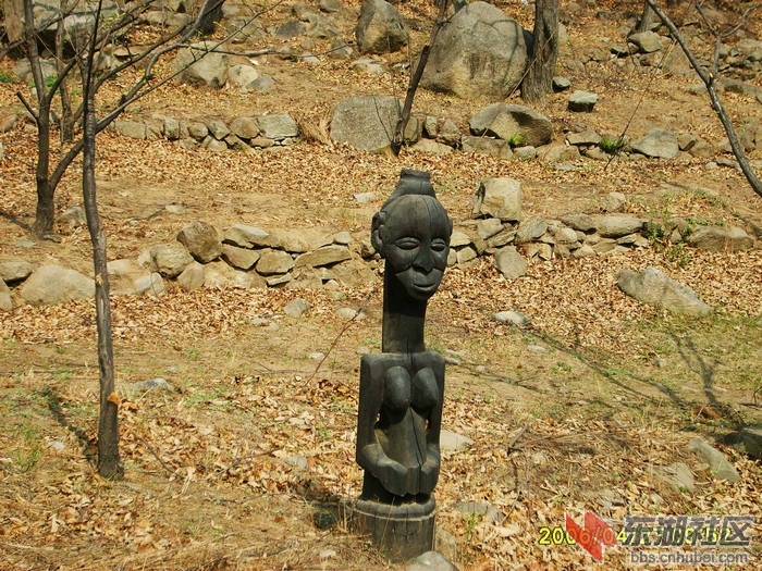 S5000734.JPG