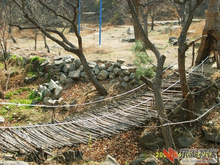 S5000735.JPG