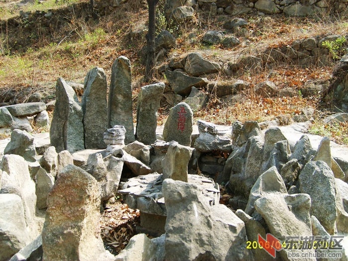 S5000750.JPG