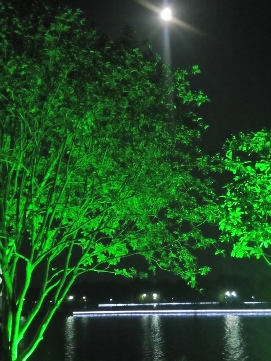 树梢头月.jpg