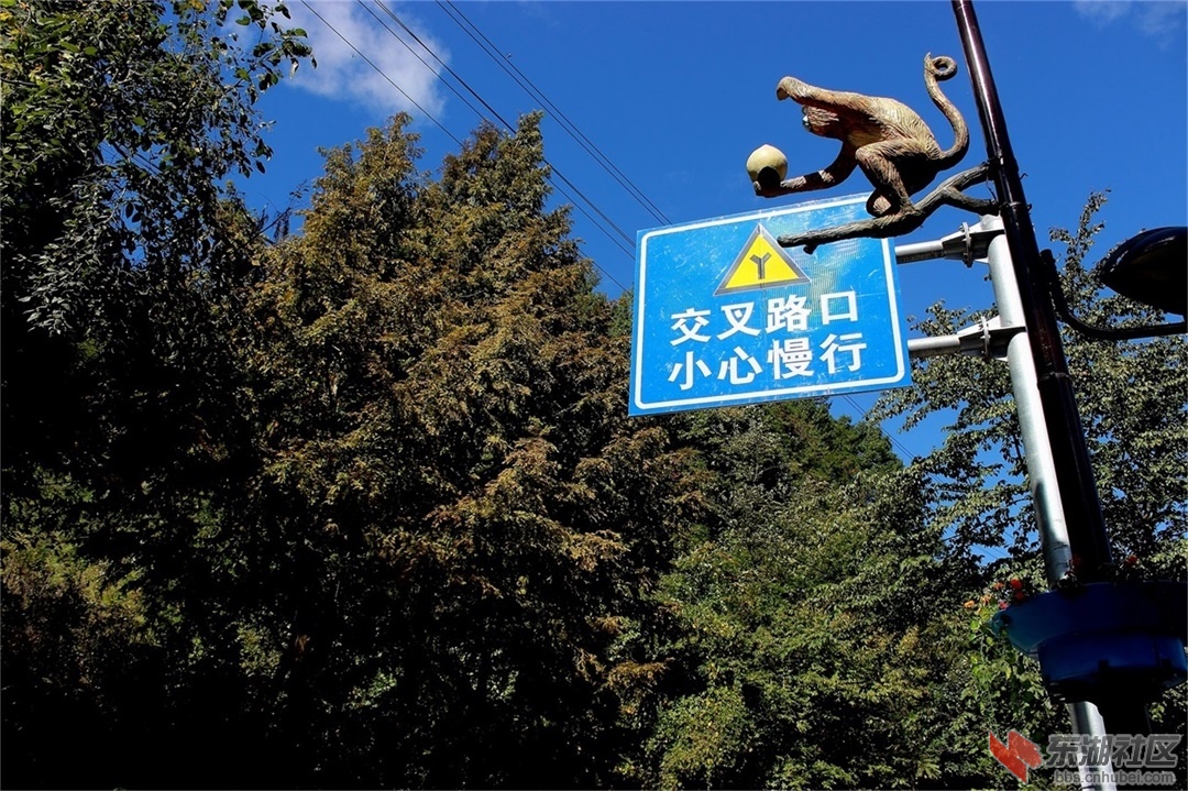交通提示牌.JPG