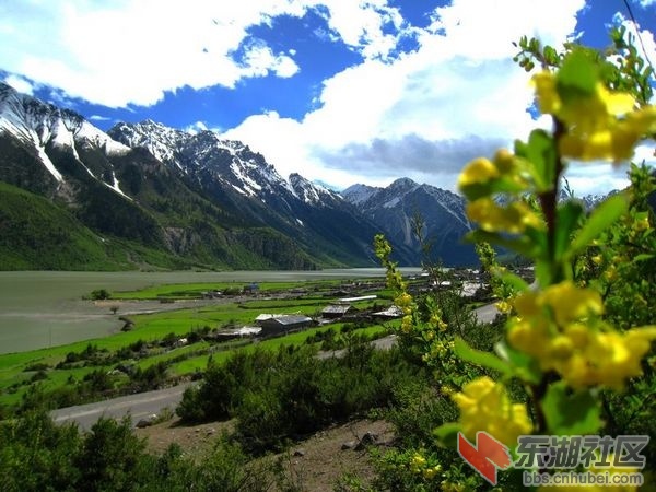 然乌湖13.jpg