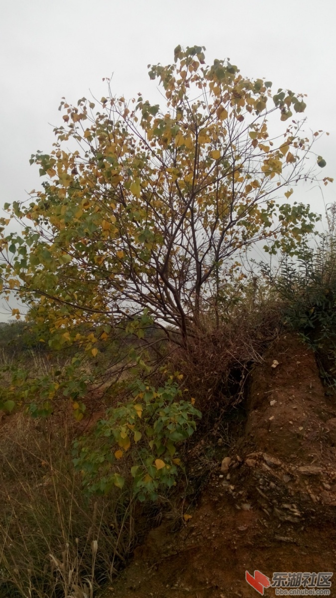 IMG_20141029_150438_meitu_1.jpg