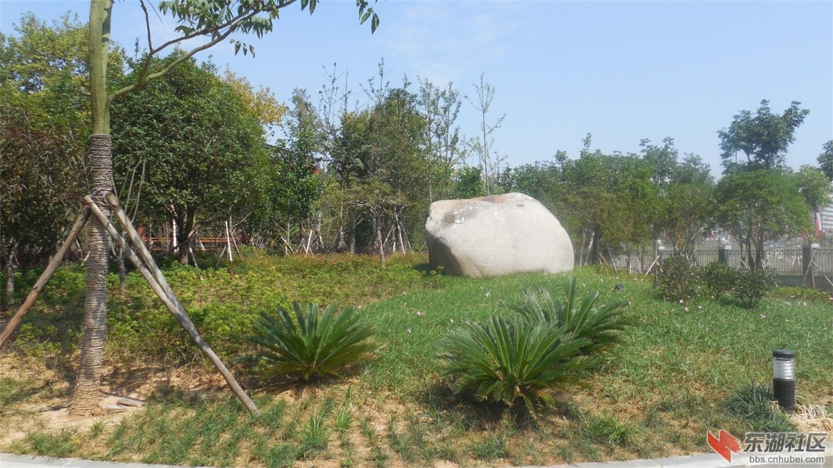 DSCN3749.JPG