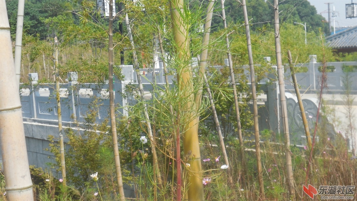 DSCN3754.JPG