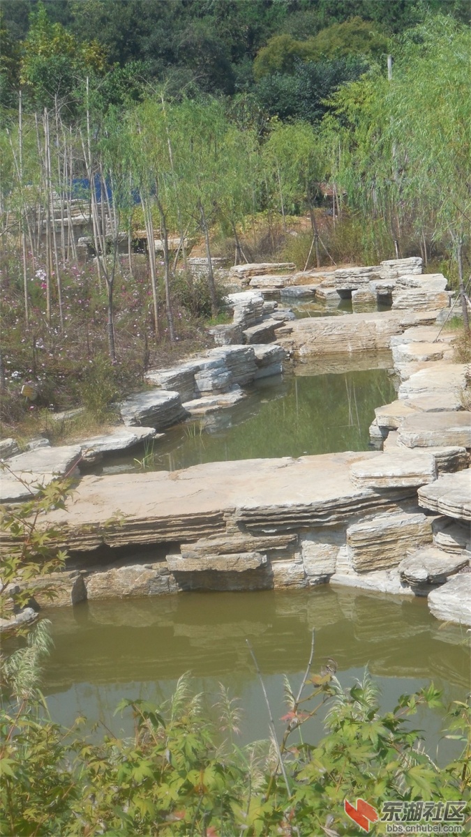 DSCN3756.JPG