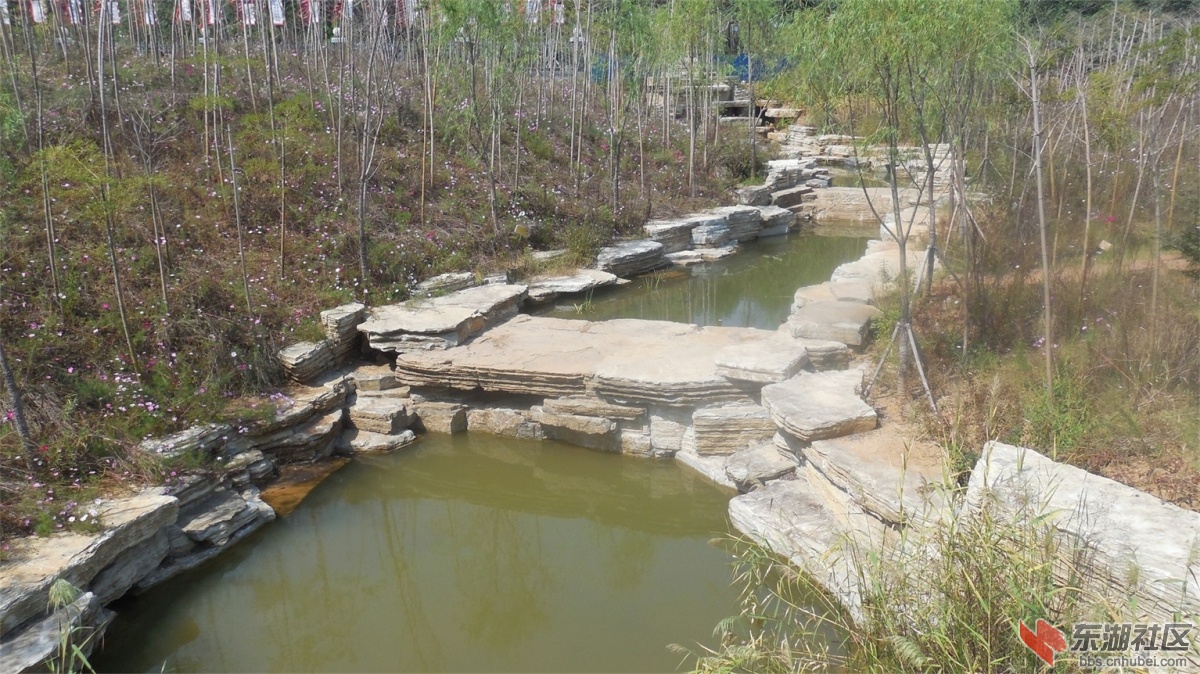 DSCN3757.JPG