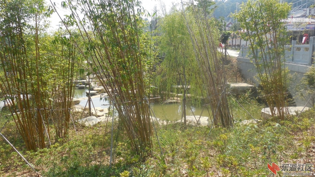 DSCN3761.JPG