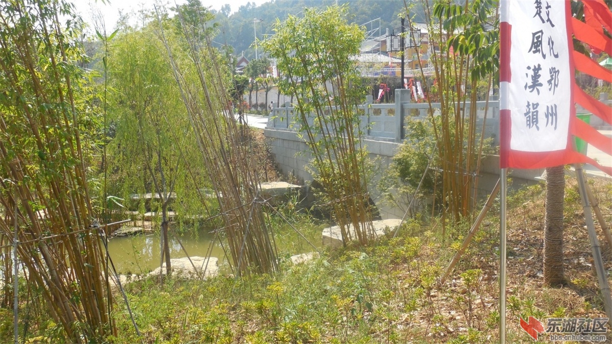 DSCN3762.JPG