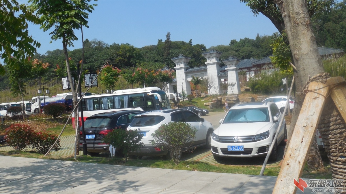 DSCN3768.JPG
