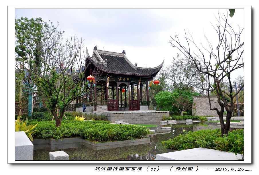 nEO_IMG_DSC_0731.jpg