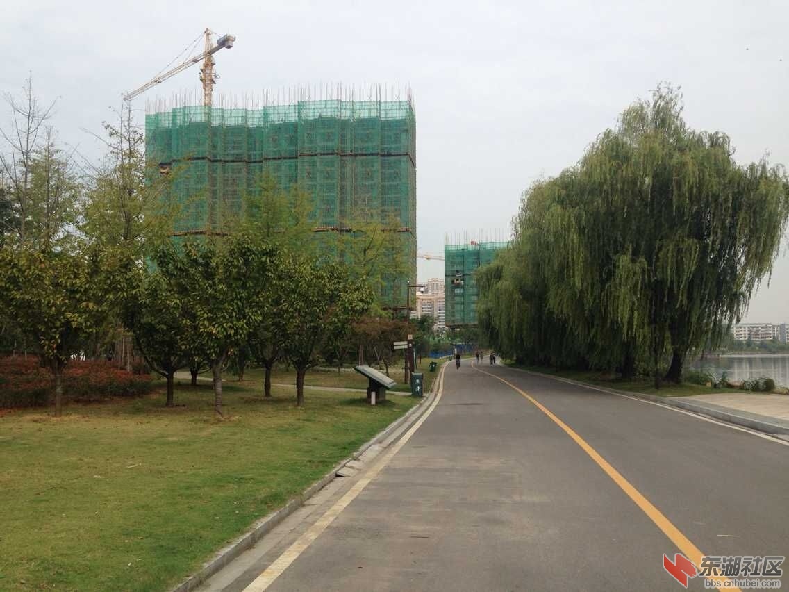 QQ图片20151004163940.jpg