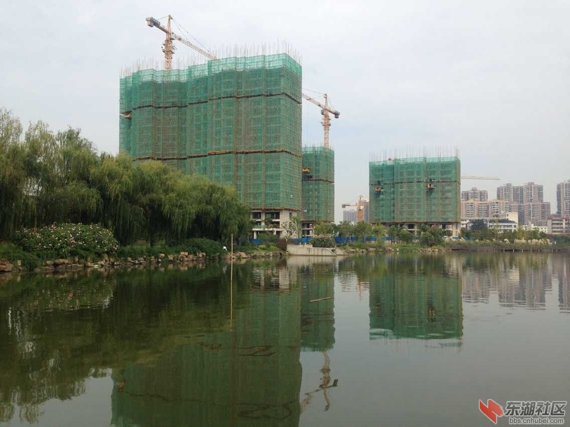 QQ图片20151004163955.jpg