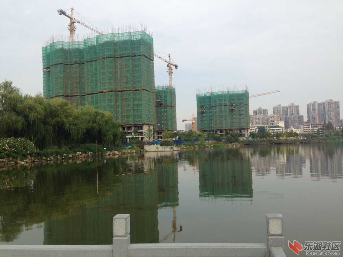 QQ图片20151004164006.jpg