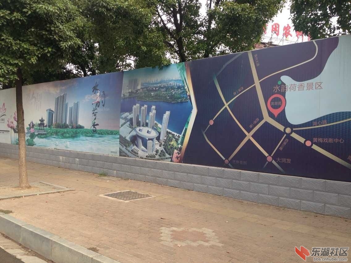 QQ图片20151004164020.jpg