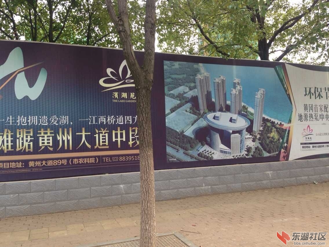 QQ图片20151004164027.jpg