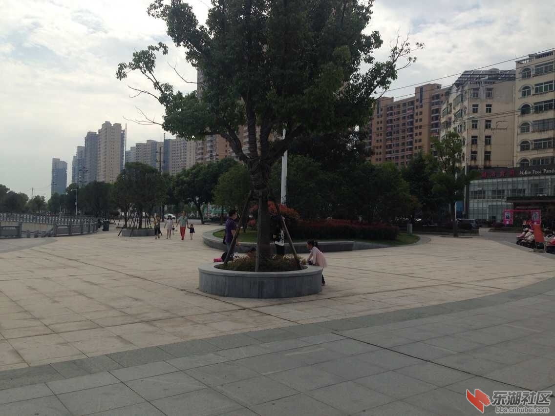 QQ图片20151004163952.jpg