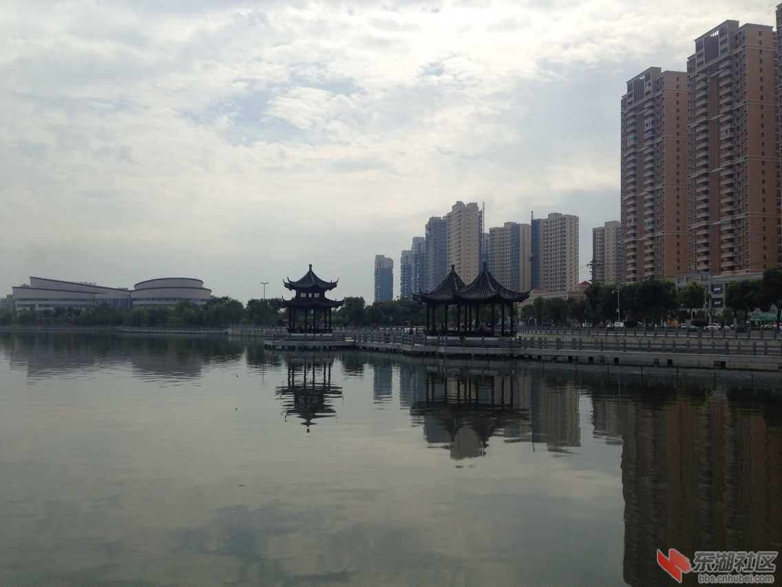 QQ图片20151004164003.jpg