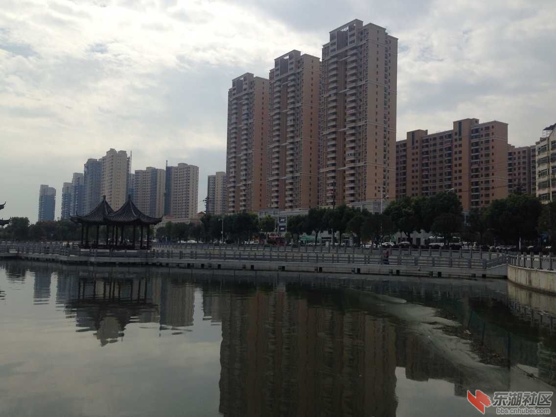 QQ图片20151004163959.jpg