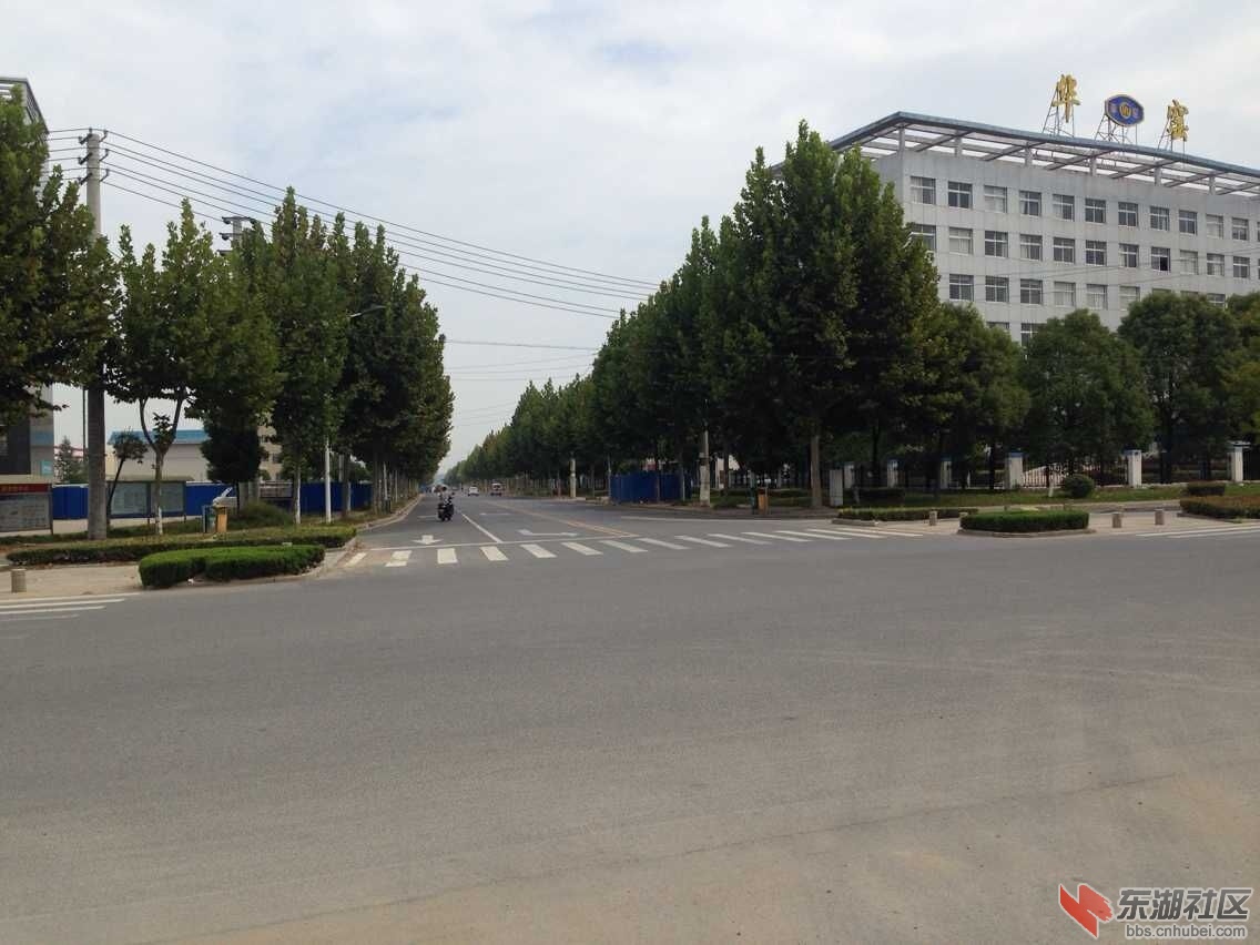 QQ图片20151004164321.jpg