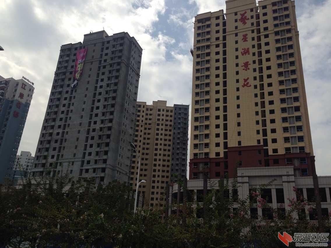 QQ图片20151004164324.jpg