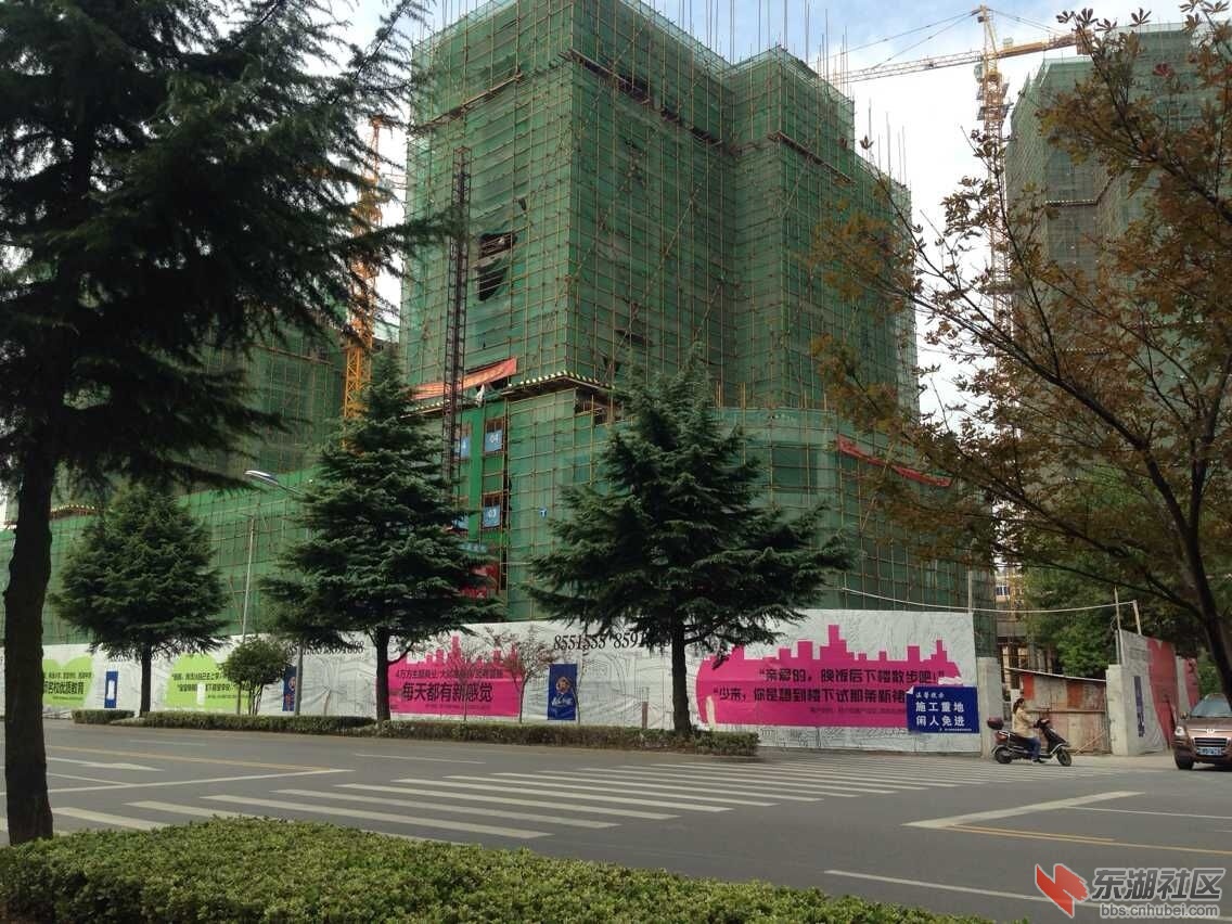 QQ图片20151004164045.jpg