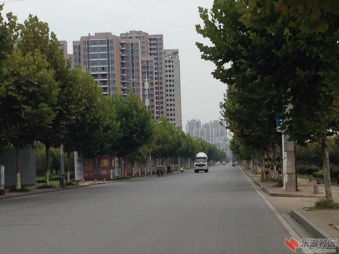 QQ图片20151004164357.jpg