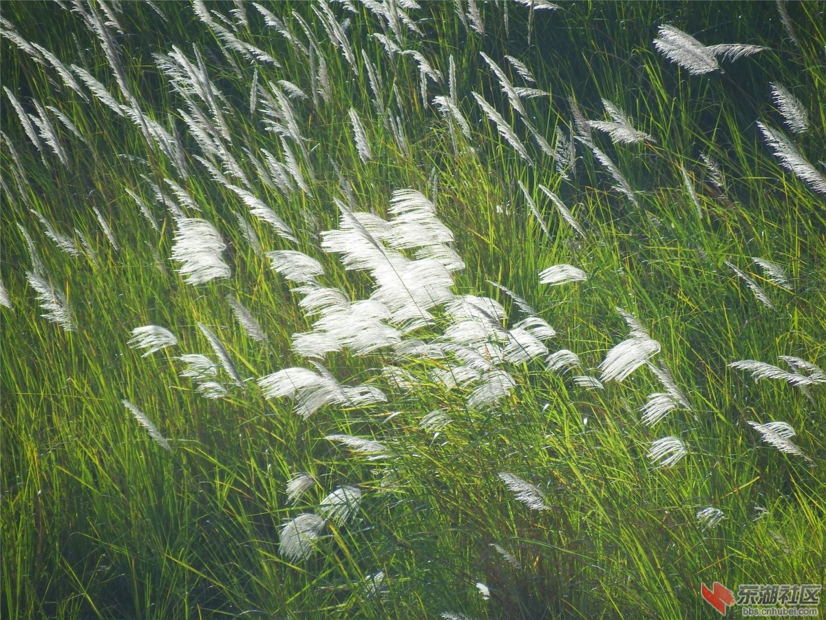 DSCF1995_副本.jpg