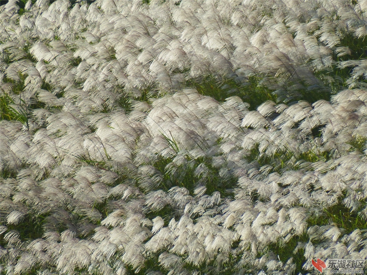 DSCF2033_副本.jpg