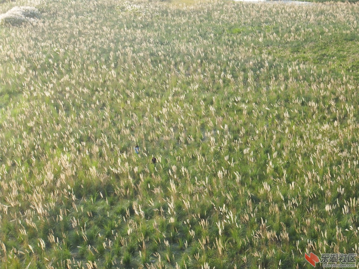 DSCF2076_副本.jpg