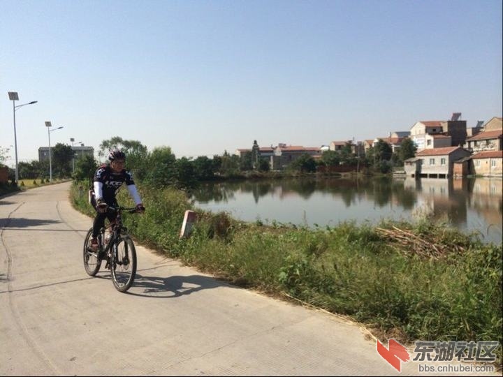 QQ图片20151004221350.jpg
