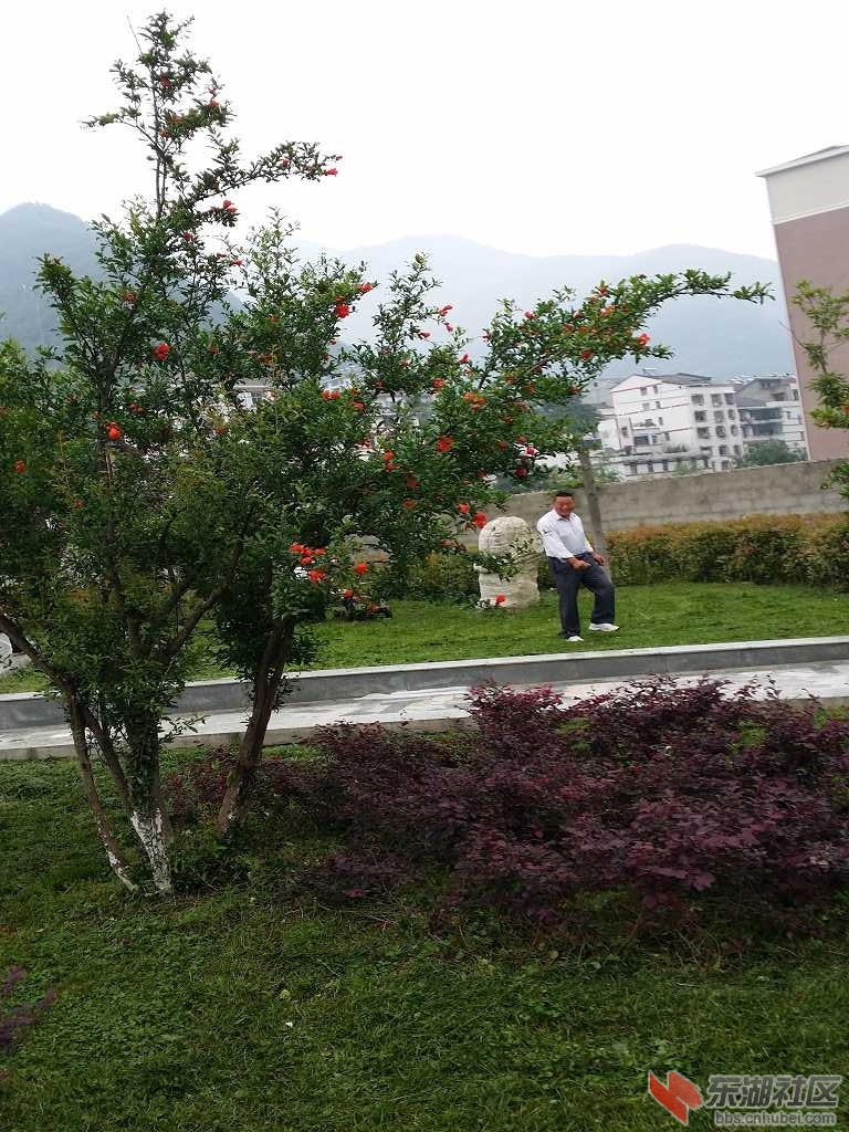 20150620_104331.jpg
