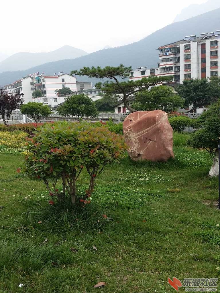 20150620_104446.jpg