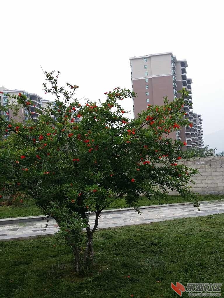 20150620_104322.jpg