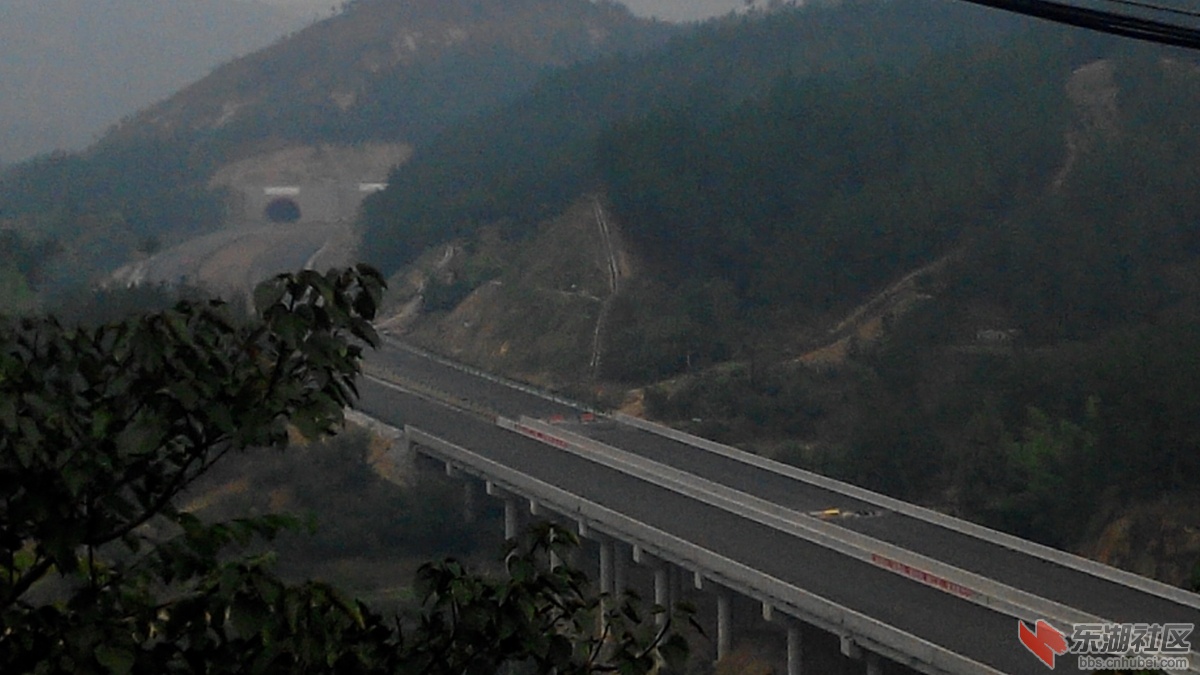 IMG_20151005_103700.jpg