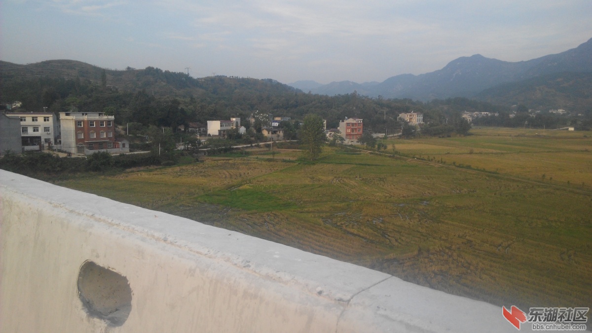 IMG_20151002_172912.jpg