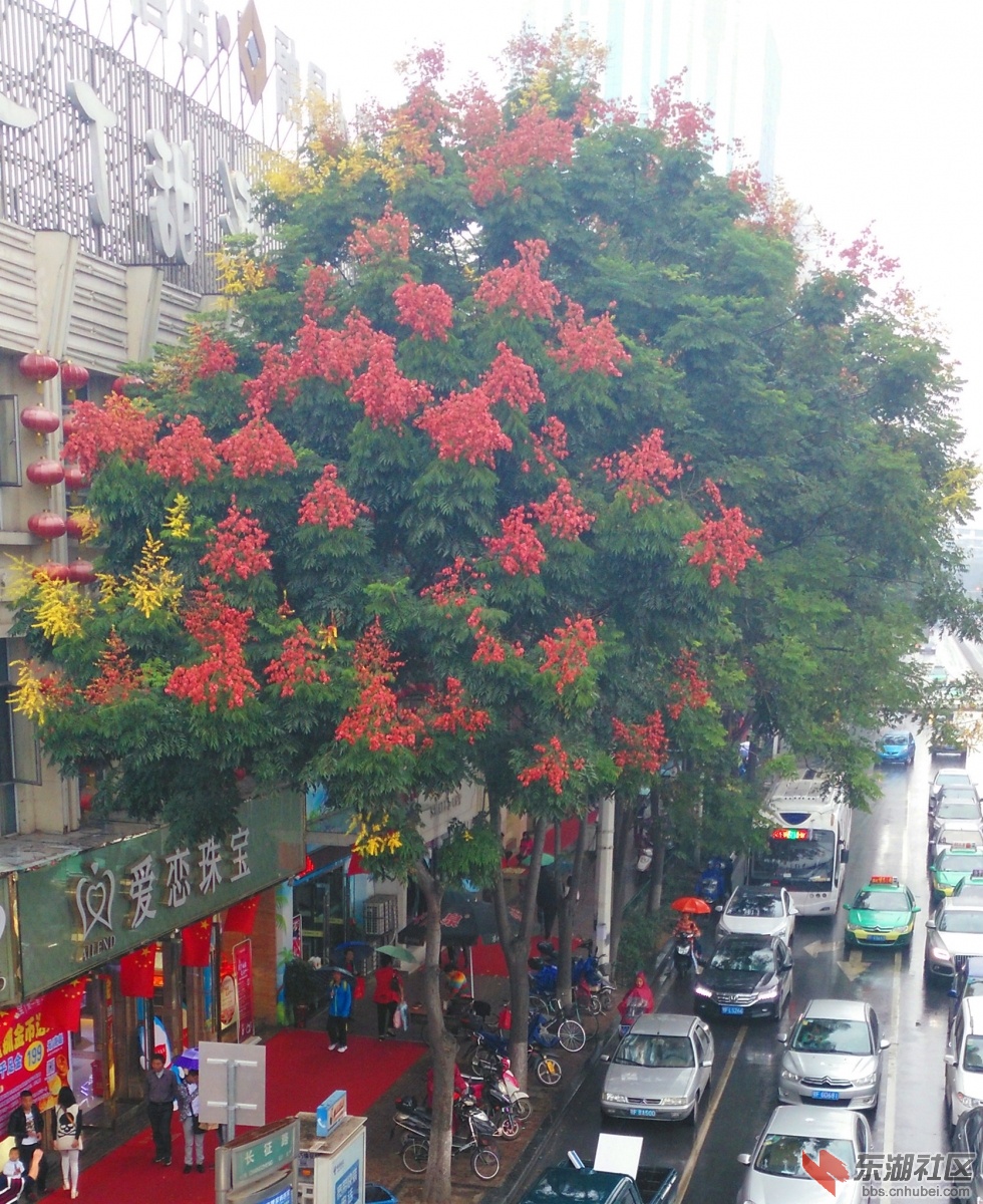 IMG_20151006_103022_副本.jpg